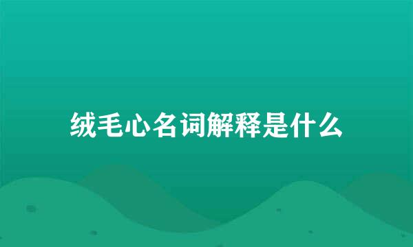 绒毛心名词解释是什么