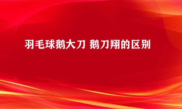羽毛球鹅大刀 鹅刀翔的区别