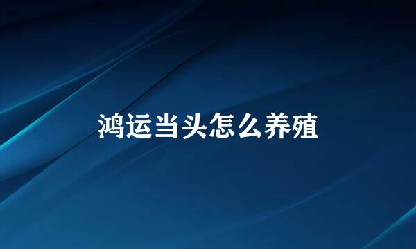 鸿运当头怎么养殖