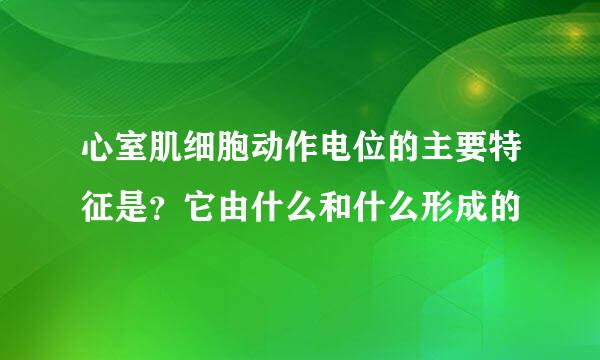 心室肌细胞动作电位的主要特征是？它由什么和什么形成的