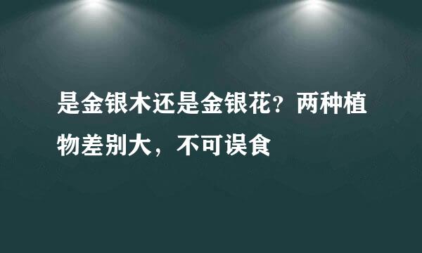 是金银木还是金银花？两种植物差别大，不可误食