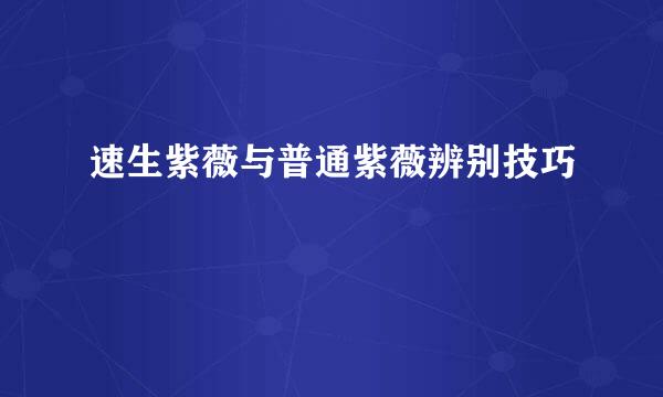 速生紫薇与普通紫薇辨别技巧