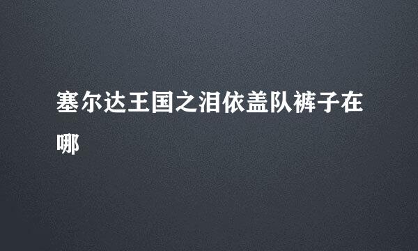 塞尔达王国之泪依盖队裤子在哪