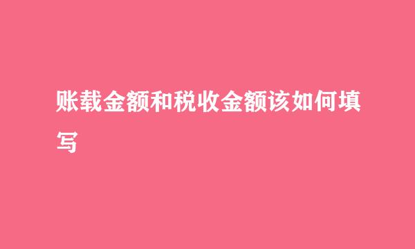 账载金额和税收金额该如何填写
