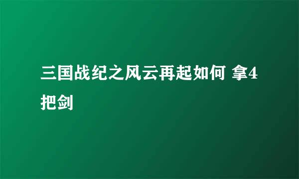 三国战纪之风云再起如何 拿4把剑