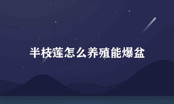 半枝莲怎么养殖能爆盆