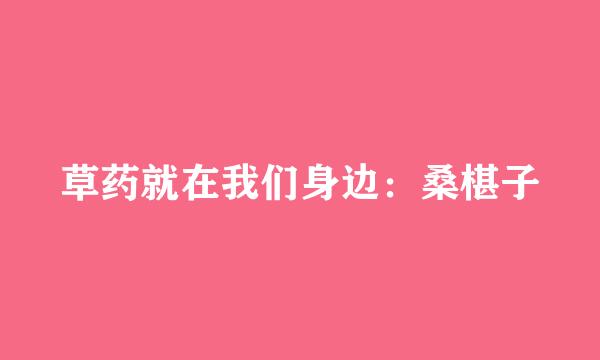 草药就在我们身边：桑椹子