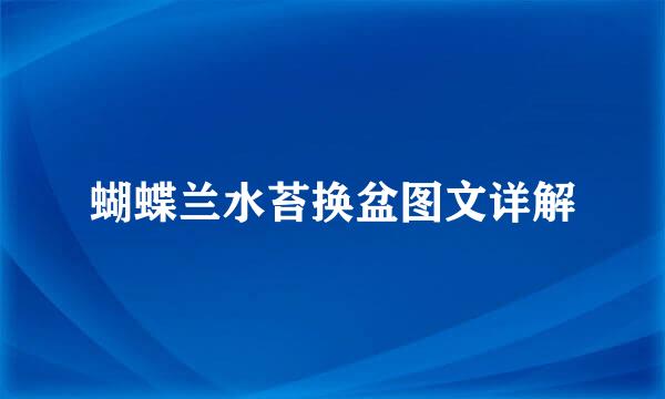 蝴蝶兰水苔换盆图文详解