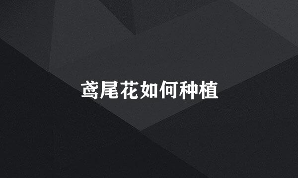 鸢尾花如何种植