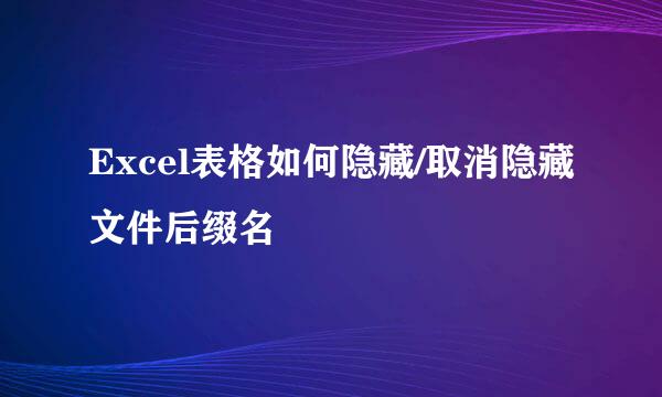 Excel表格如何隐藏/取消隐藏文件后缀名