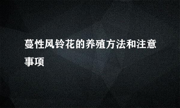 蔓性风铃花的养殖方法和注意事项