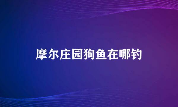 摩尔庄园狗鱼在哪钓