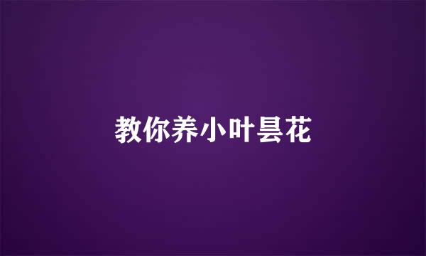 教你养小叶昙花