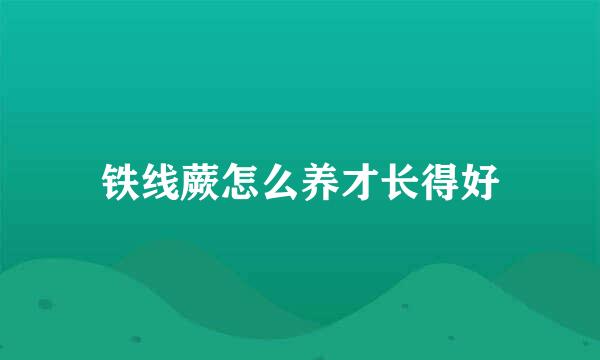 铁线蕨怎么养才长得好