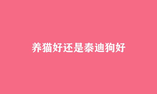 养猫好还是泰迪狗好
