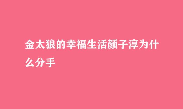 金太狼的幸福生活颜子淳为什么分手