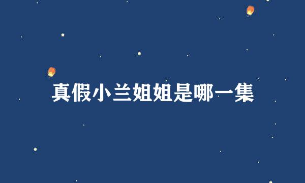 真假小兰姐姐是哪一集