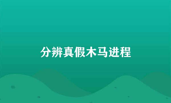 分辨真假木马进程