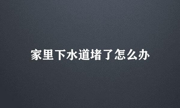 家里下水道堵了怎么办