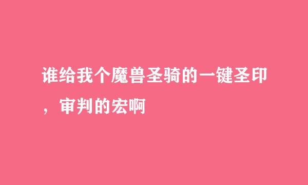 谁给我个魔兽圣骑的一键圣印，审判的宏啊