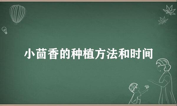 小茴香的种植方法和时间