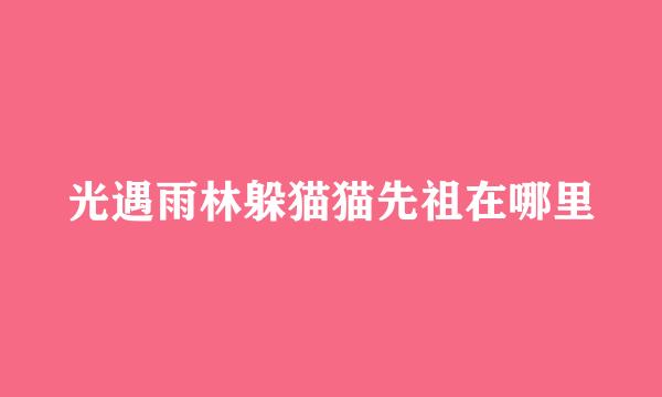 光遇雨林躲猫猫先祖在哪里