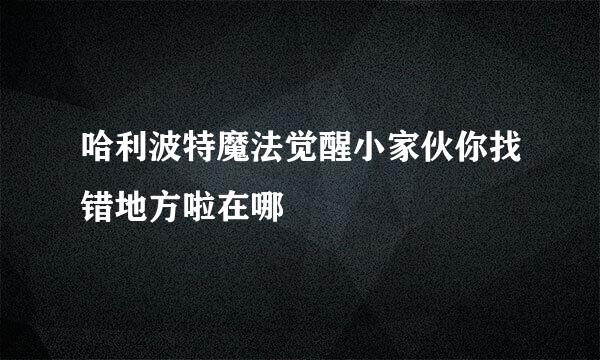 哈利波特魔法觉醒小家伙你找错地方啦在哪