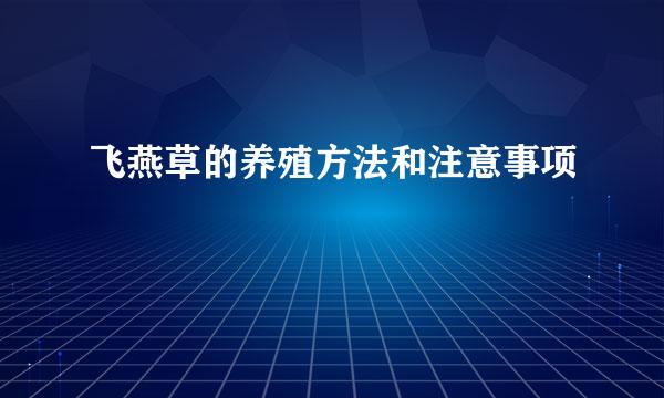 飞燕草的养殖方法和注意事项