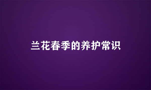 兰花春季的养护常识
