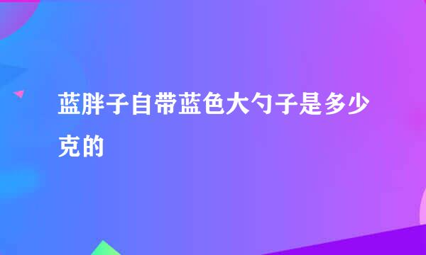 蓝胖子自带蓝色大勺子是多少克的