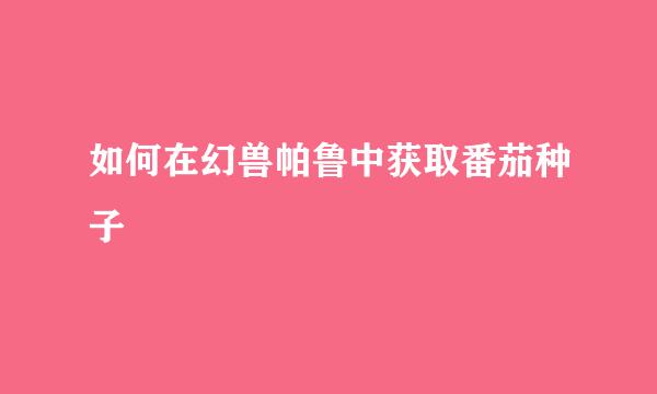 如何在幻兽帕鲁中获取番茄种子
