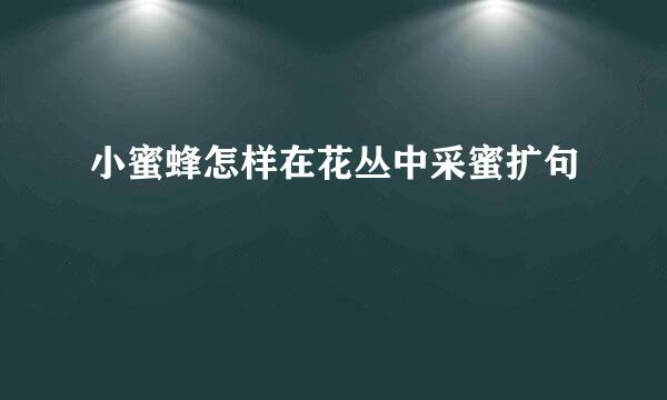 小蜜蜂怎样在花丛中采蜜扩句