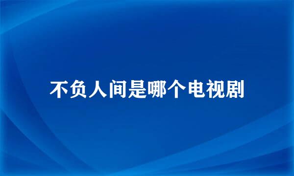 不负人间是哪个电视剧