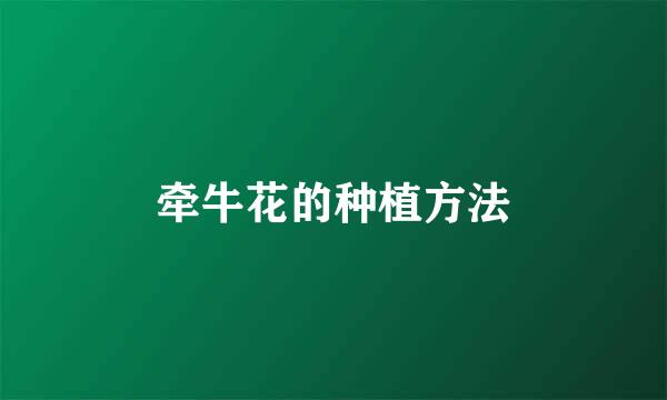 牵牛花的种植方法