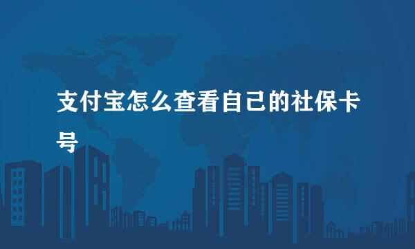 支付宝怎么查看自己的社保卡号