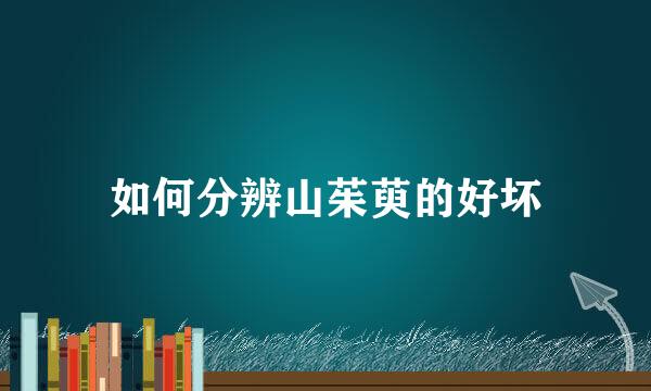 如何分辨山茱萸的好坏