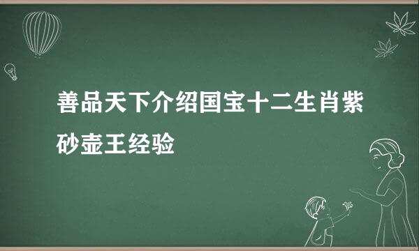 善品天下介绍国宝十二生肖紫砂壶王经验