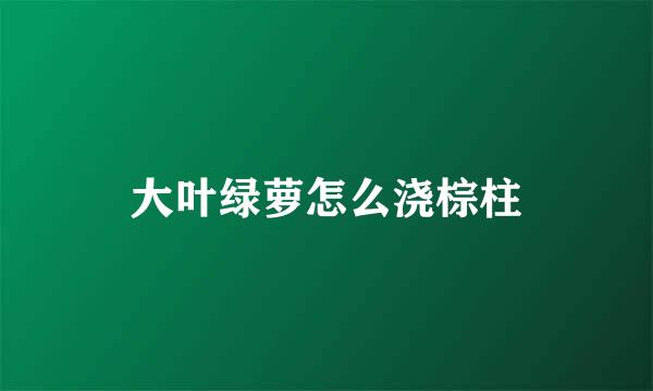 大叶绿萝怎么浇棕柱