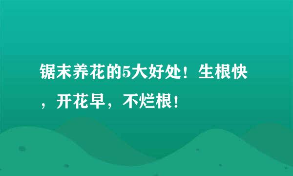 锯末养花的5大好处！生根快，开花早，不烂根！