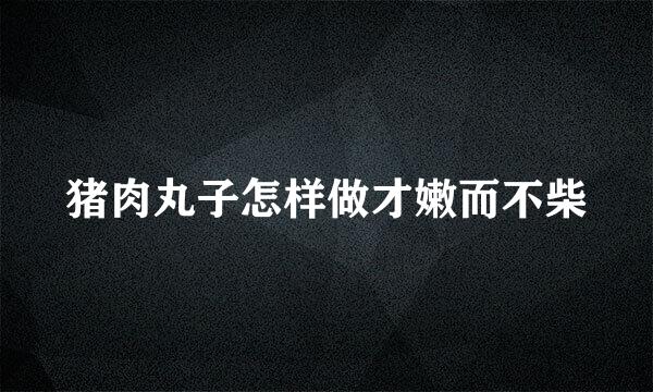 猪肉丸子怎样做才嫩而不柴