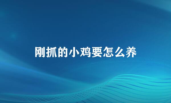 刚抓的小鸡要怎么养
