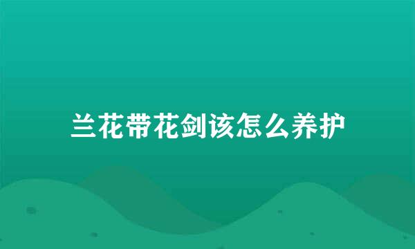 兰花带花剑该怎么养护