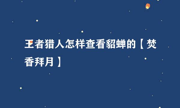王者猎人怎样查看貂蝉的【焚香拜月】