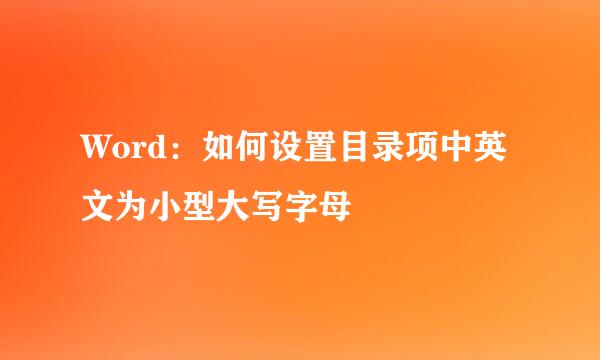 Word：如何设置目录项中英文为小型大写字母