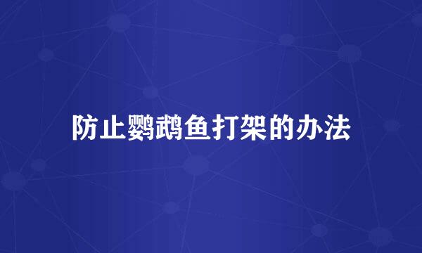 防止鹦鹉鱼打架的办法