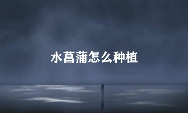 水菖蒲怎么种植