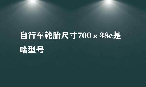 自行车轮胎尺寸700×38c是啥型号