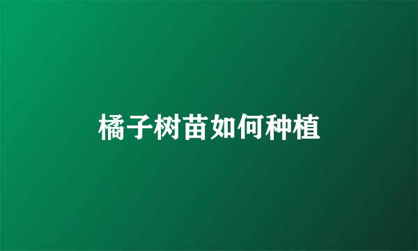 橘子树苗如何种植