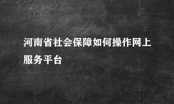 河南省社会保障如何操作网上服务平台