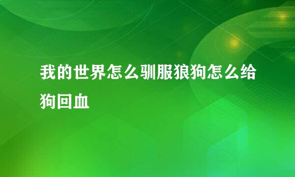 我的世界怎么驯服狼狗怎么给狗回血
